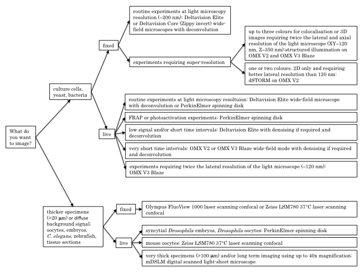 Summary Chart For Microscope